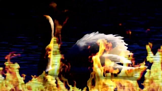 Roasting Swan Solo