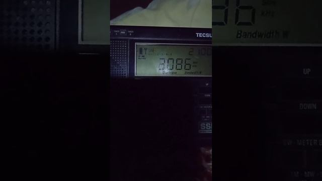 TECSUN PL 600 свободные радиолюбители зажигают! смотреть онлайн