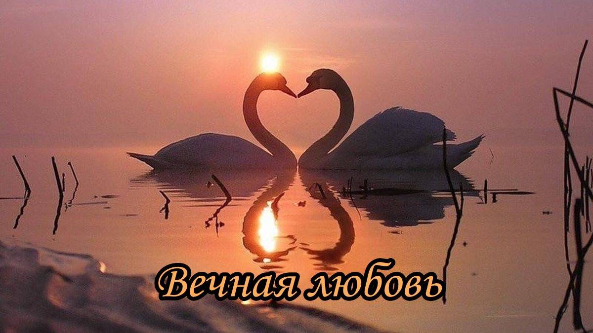 «Вечная любовь» на русском языке