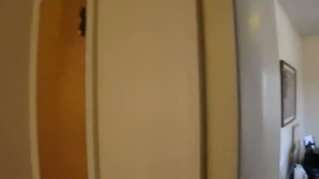 1704 E Sherwood Williamston MI U смотреть онлайн