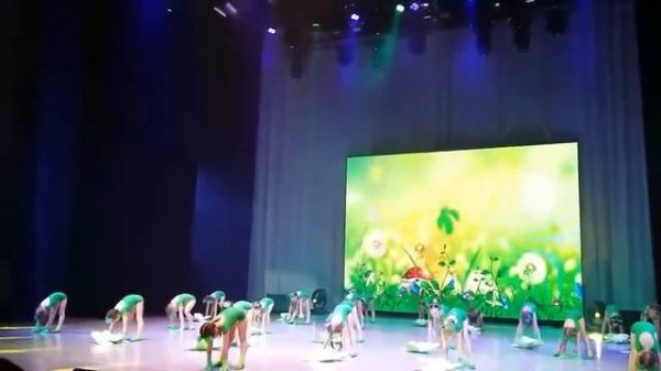 19 февраля 2019 г.