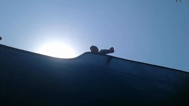 Музей паровозов часть 7 смотреть онлайн