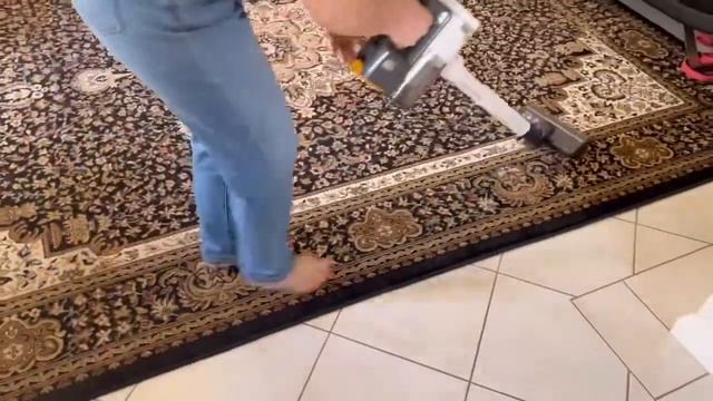 Concierge Member Irma Reviews the LG A9 Kompressor Auto Handstick Vac | The Good Guys смотреть онлайн