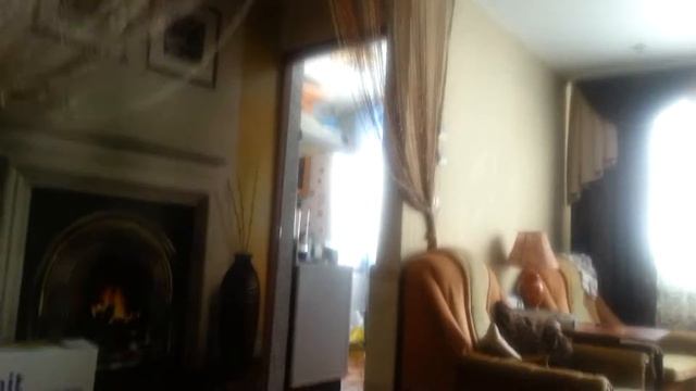 Кот ловит мышку смотреть онлайн