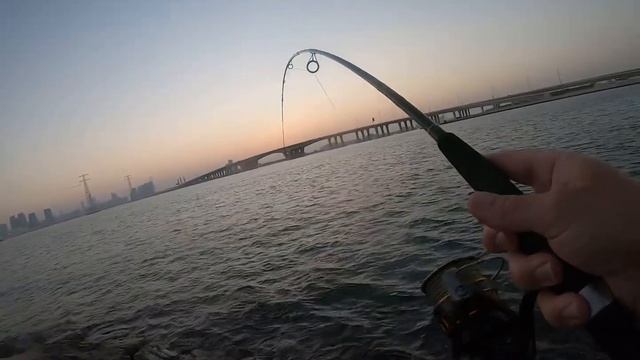 Rocks fishing for grouper смотреть онлайн