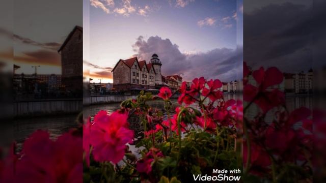 Осень 2024 у Преголи в Калининграде смотреть онлайн