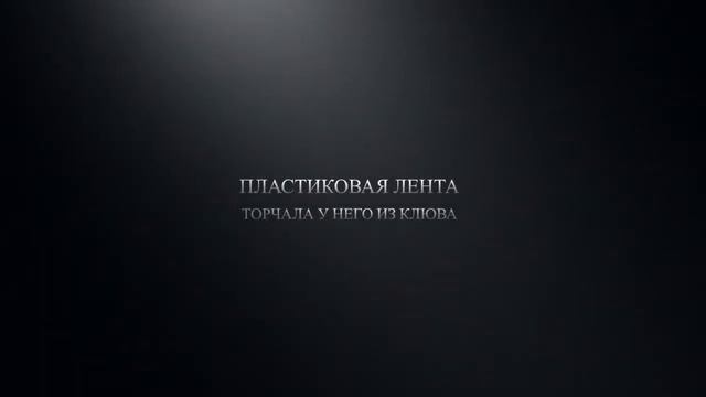 Спасение Герасима В Межигорье