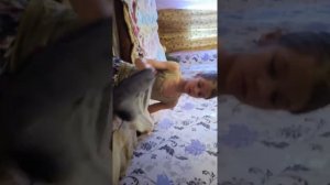 Как сделать кроватку для пупсика