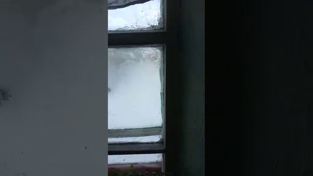 Бакытгуль Касымбаева,оператор и автор смотреть онлайн