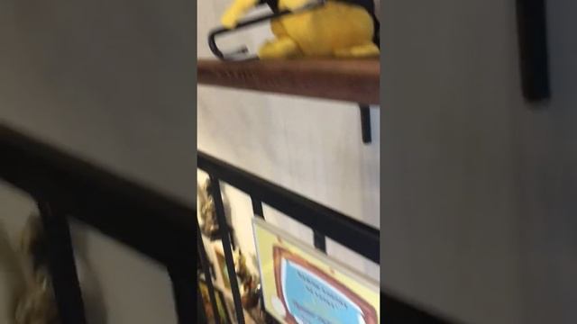 Опять Мурариум смотреть онлайн