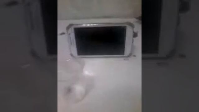 Кинул телефон вниз экраном и лизуном смотреть онлайн