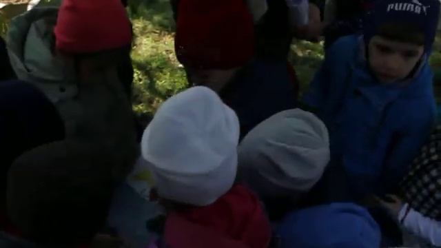 Тематическая прогулка "Экологическая тропа" смотреть онлайн