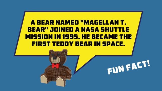 Teddy Bear in Space - Fast Fun Facts смотреть онлайн