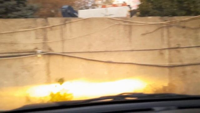 Мое питание 🤔 | От мышей ничего не действует | Как избавиться?) смотреть онлайн