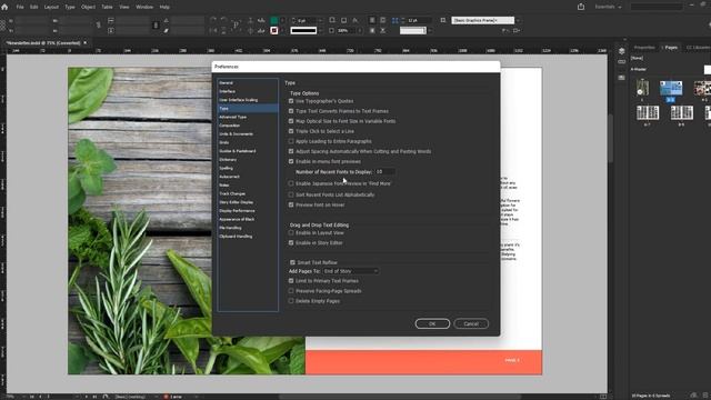 Preferences In Adobe InDesign
