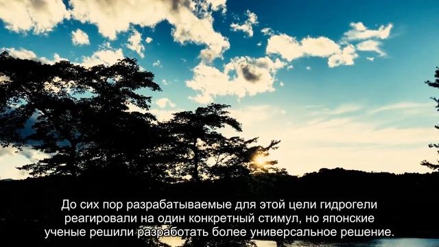 Исследователи научились управлять гидрогелем для доставки противораковых препаратов смотреть онлайн