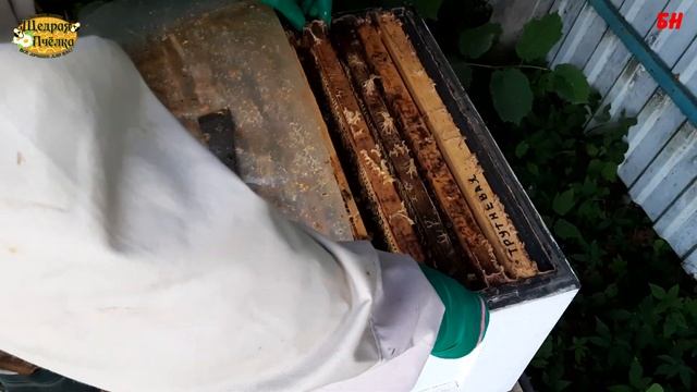 пчеловодство сокращать семьи в зиму или нет решать вам смотреть онлайн