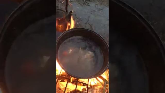 Варим раков на рыбалке смотреть онлайн