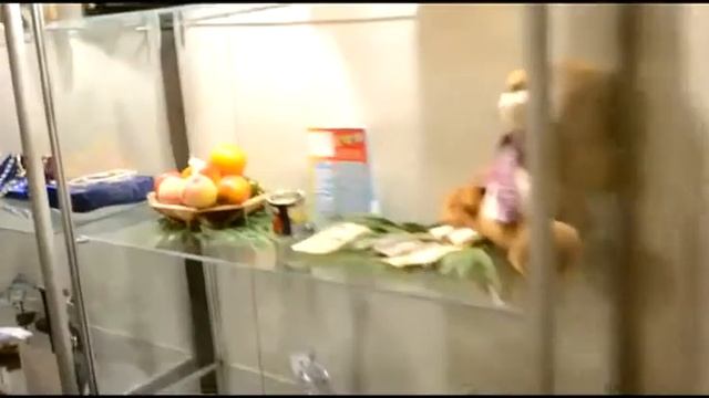 Канал новости Музей контрабанды в Одессе смотреть онлайн