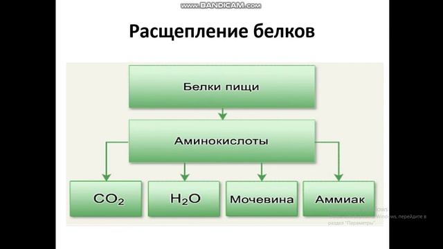 видео-урок на тему 