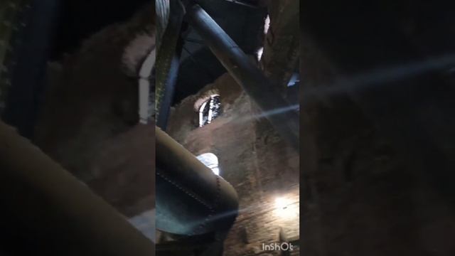 Северская Домна.