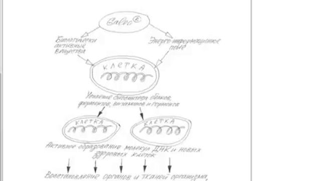Generis Club , 'Новый Factor 5 immuno и новый продукт Vision' А Н Копылов смотреть онлайн