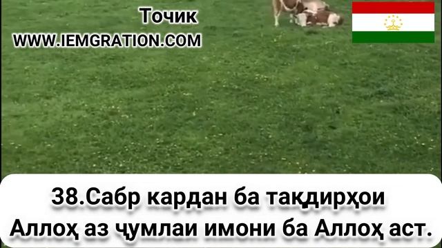 38 Сабр кардан ба тақдирҳои Аллоҳ аз ҷумл смотреть онлайн