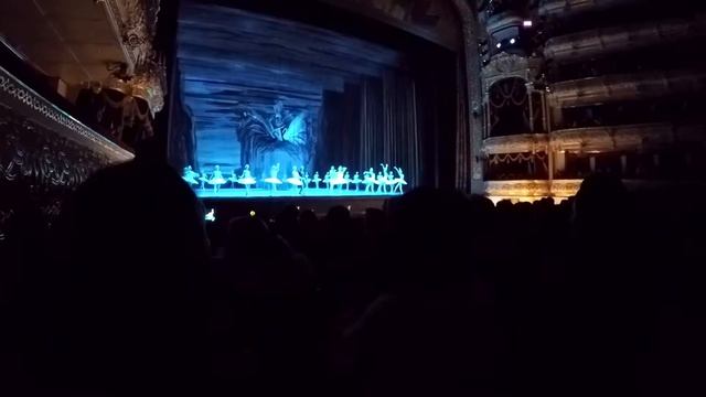Bolshoi Swan Lake смотреть онлайн