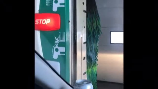 МОЙКА БЕЛОЙ ЛАСТОЧКИ смотреть онлайн