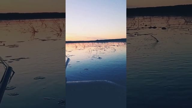 На странных берегах! Охота на утку смотреть онлайн