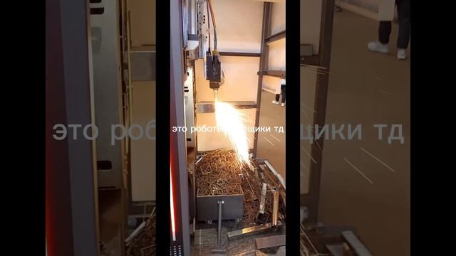 тгк:coocoomber смотреть онлайн