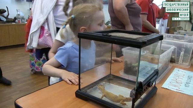 Семейный фестиваль "Мам.Пап.Я.Day" смотреть онлайн