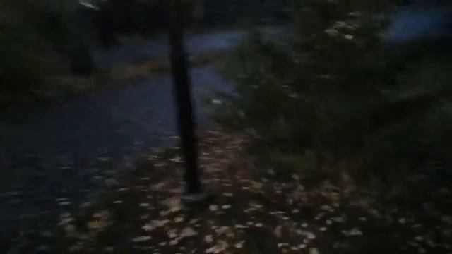 Цветочки цветут или прогулка в центральном парке смотреть онлайн