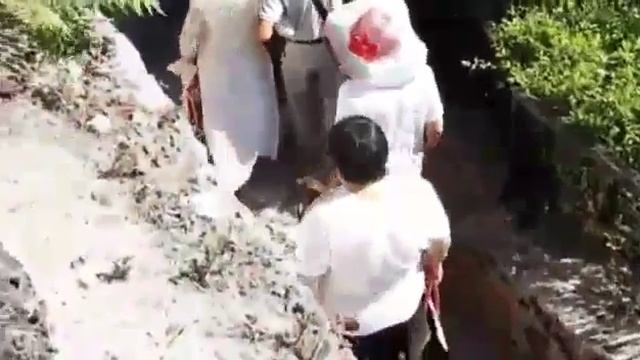 Болгария.Сентябрь 2018г. "Varna-tour". Экскурсия по достопримечательным местам. смотреть онлайн