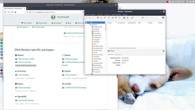 KeePassXC Tutorial - Instalacion y uso en Ubuntu смотреть онлайн