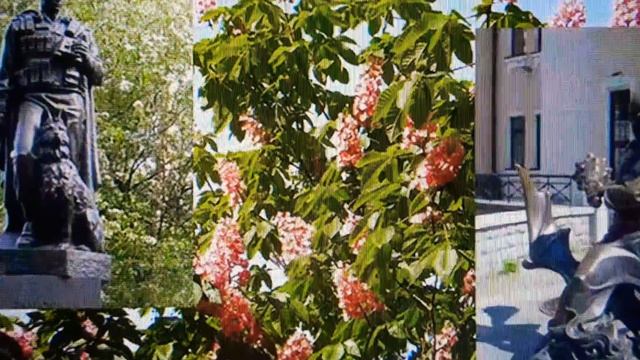 ПЕСНИ НАШЕЙ МОЛОДОСТИ:СНОВА ЦВЕТУТ КАШТАНЫ.ПОЗОР МИЗАНТРОПАМ👹,ПОСЕЯВШИМ ВРАЖДУ МЕЖДУ ДВУМЯ НАРОДАМИ смотреть онлайн