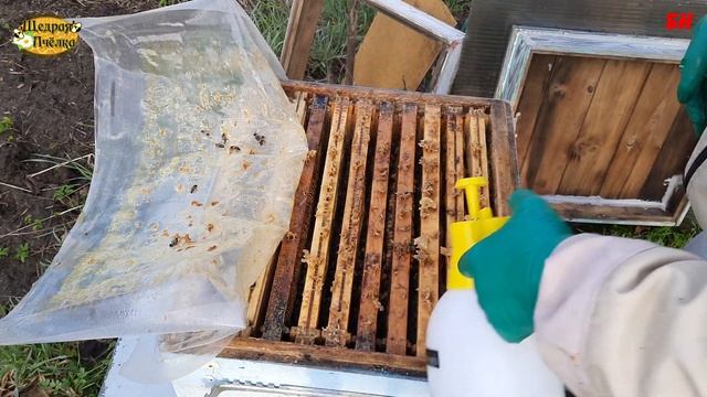 пчеловодство самая главная работа на пасеке весной смотреть онлайн