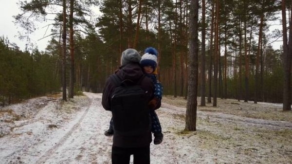 ЛИСИЧКИН ДОМ