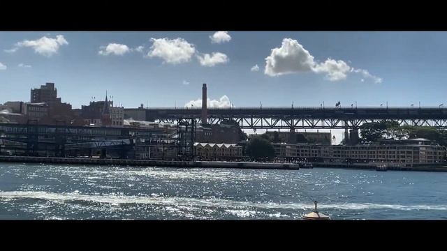 Opera Bar - Harbour Bridge - Circular Quay - Moment Anamorphic Lens смотреть онлайн
