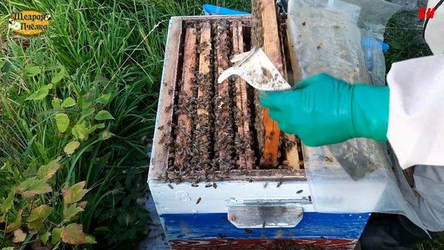 не создавайте себе проблемы на пасеке осенью смотреть онлайн