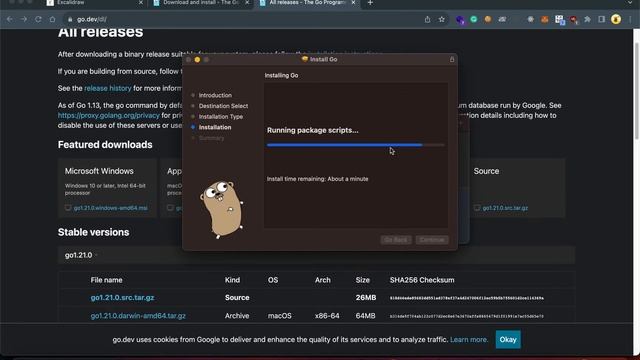 Installing Go Lang in MacOS and Windows #03 смотреть онлайн