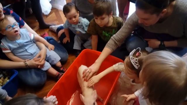 Маленький поросенок. 89167021108 смотреть онлайн