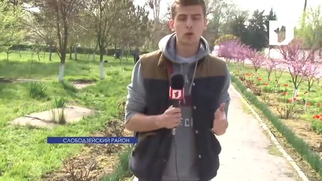 В Слободзейском районе стартовал месячный марафон по благоустройству населенных пунктов