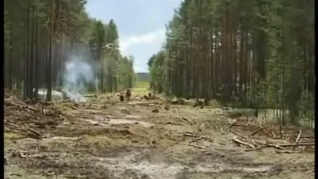 Селище Кушниково