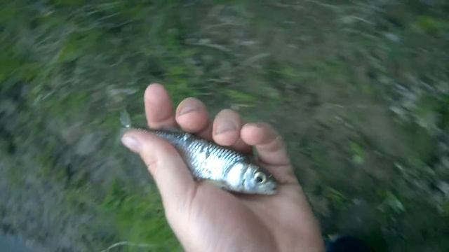 еще микроголавлик на Цивиле на имитацию бабки коробки ) смотреть онлайн