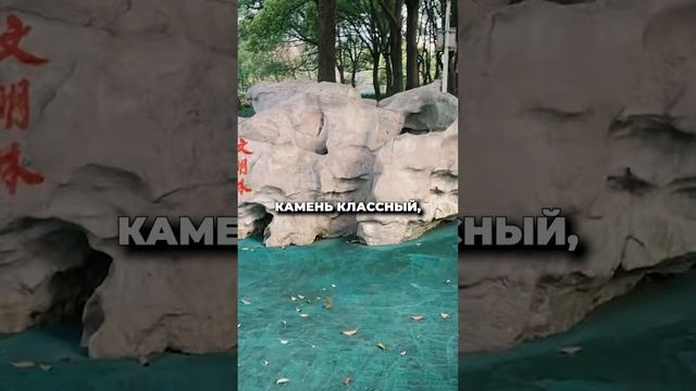 Китайские сады, современные пространства и дизайн смотреть онлайн