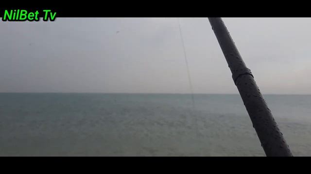 DRIVER/OPERATOR  SHORE FISHING