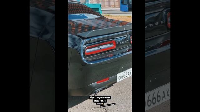 срочно Паша пел купил новую тачку 😈😈👆❤️ для гонки 🖤 смотреть онлайн