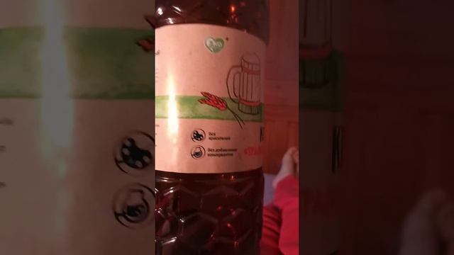 Квас из сладкого хлеба. Маслята хотели накормить меня гавном. смотреть онлайн