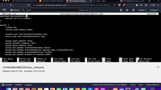 How to Implement HTTPS and Nginx for Your Odoo Server смотреть онлайн